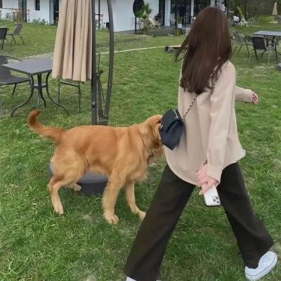 蓝色老虎